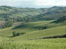 Italy - Typical landscape in Le Marche